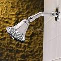 shower head leak