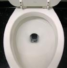 poor toilet flush