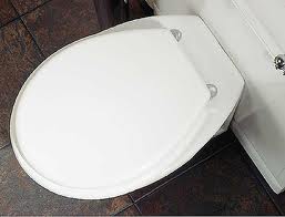 toilet seat